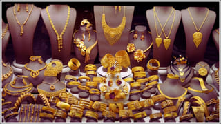 LPGపై కేంద్రం కీలక నిర్ణయం! రాష్ట్రాలకు సరఫరా 20 శాతం పెంపు