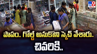 జూలో ఫుడ్ పెట్టిన చిన్నారిపై సింహం దాడి.. వైరల్ వీడియో