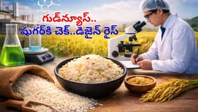 వావ్‌.. డయాబెటిస్ ఉన్నా అన్నం తినొచ్చు! శాస్త్రవేత్తలు కనిపెట్టిన
