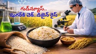 మీ మెదడు ఎంత వేగంగా పనిచేస్తుంది.. 30 సెకన్ల టెస్ట్‌తో సింపుల్‌గా ఇలా తెలుసుకోండి..