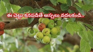 రాత్రికి రాత్రే అదృష్టం మార్చే చిట్కా.. గ్లాస్ నీటితో మీరే కోటీశ్వరులు!