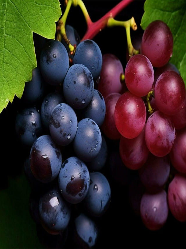 ఏమిటీ తికమకా.. వేసవిలో అసలు ఏ ద్రాక్ష తినాలి?