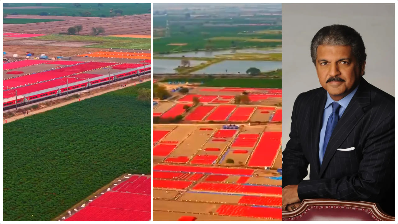 Anand Mahindra: గుంటూరు మిరప తోటలను షేర్ చేస్తూ కీలక ట్వీట్ చేసిన ఆనంద్ మహీంద్రా