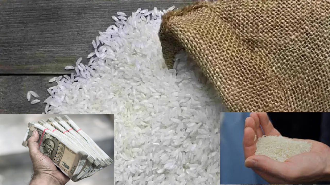 Vastu Tips: ఈ చిన్న బియ్యం ట్రిక్తో మీ అదృష్టం, సంపదను రెట్టింపు చేయండి!