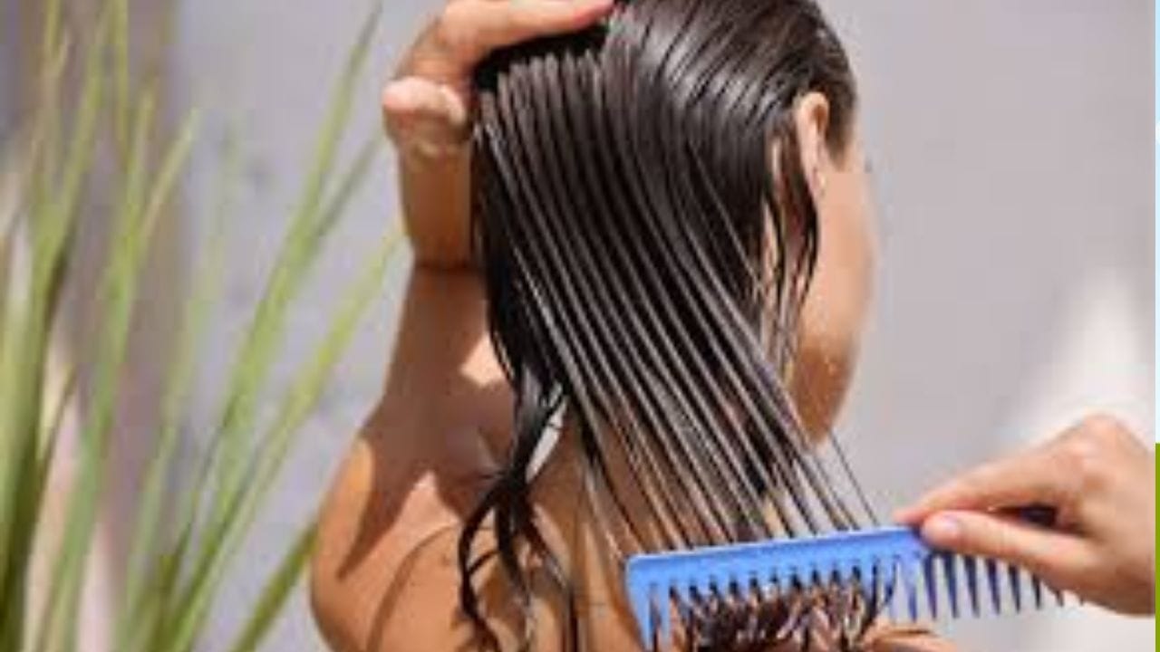 సాధారణ జుట్టు: ఇక సాదారణ జుట్టు ఉన్నవారు వారానికి 2 నుండి 3 సార్లు తల స్నానం చేయడం సరిపోతుంది. అయితే మీకు జుట్టు రాలకుండా ఉండాలంటే వీటితో పాటు మరి కొన్ని కూడా తెలుసుకోవాలి. ఎప్పుడూ చల్లని, లేదా గోరువెచ్చని నీటితో మాత్రమే స్నానం చేయండి. అలాగే రసాయనాలు లేని షాంపూలను వాడండి. జుట్టు తడిగా ఉన్నప్పుడూ అస్సలు దువ్వకండి. జుట్టు ఆరోగ్యంగా ఉండేందుకు సరైన ఆహారం తీసుకోండి.( Note: పైన పేర్కొన్న అంశాలు కేవలం ఇంటర్నెట్, నివేదికల ఆదారంగా ఆందించబడినవి.. వీటిని TV9 దృవీకరించట్లేదు) 