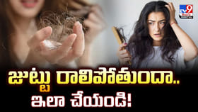 ఈ ఒక్క రెసిపితో జుట్టు రాలడానికి చెక్ పెట్టండి !!