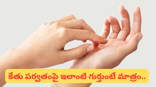 ఈ పక్షి గూడు కట్టదు.. పిల్లలను పెంచదు.. బతకడానికి ఏం చేస్తుందో తెలిస్తే అస్సలు నమ్మరు..