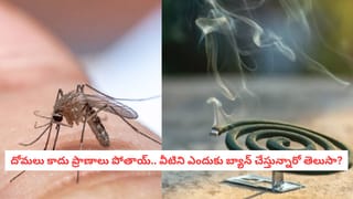 Health Alert: అందం కోసం టైట్ జీన్స్ వేస్తున్నారా?.. పురుషుల్లో ఆ సమస్యకు ఇదే కారణమట!