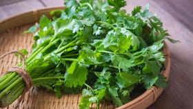 కొత్తిమీరే కదా అని తీసిపారేస్తున్నారా.. అది చేసే అద్భుతం తెలిస్తే