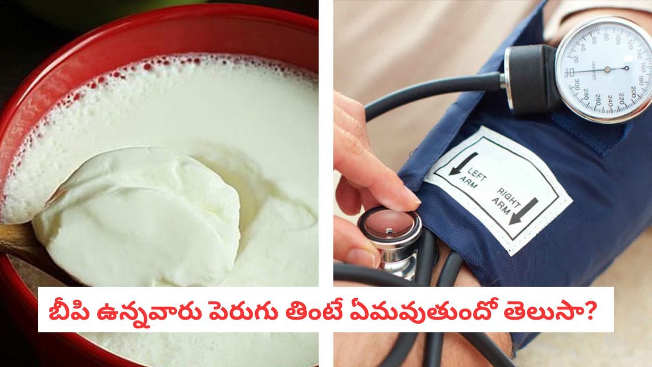 Curd Benefits: బీపీ ఉన్నవారు పెరుగు తింటే ఏమవుతుంది.. ఈ వార్త తెలిస్తే ఎగిరి గంతేస్తారు..