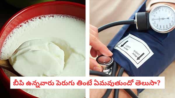 Curd Benefits: బీపీ ఉన్నవారు పెరుగు తింటే ఏమవుతుంది.. ఈ వార్త తెలిస్తే ఎగిరి గంతేస్తారు..