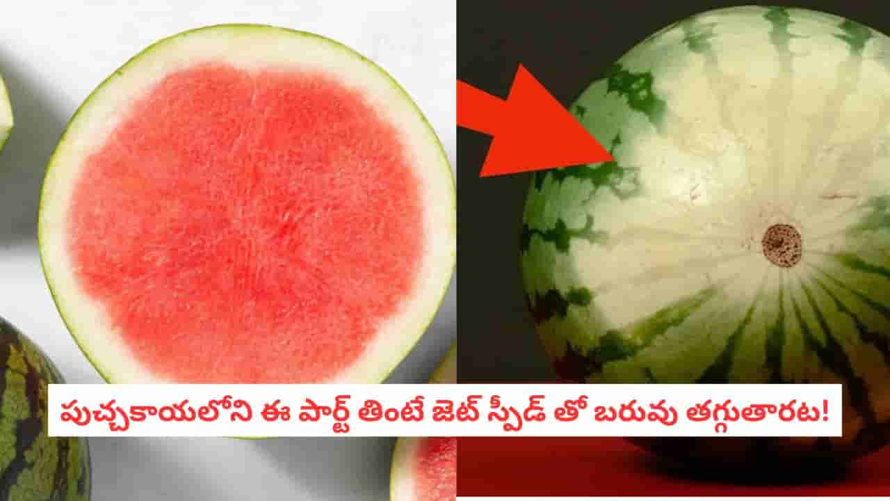Watermelon Benefits: గింజలు కాదు.. పుచ్చకాయలోని ఈ పార్ట్ తింటే జెట్ స్పీడ్ తో బరువు తగ్గుతారట!