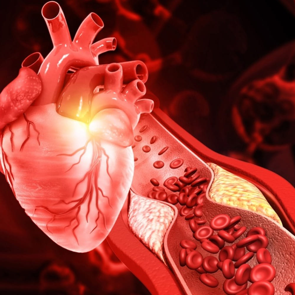 Heart Health Drinks (1)