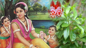 శ్రీరామ నవమి.. ఒక రోజు ముందు స్త్రీలు ఇలా చేస్తే ఆనంద, సౌభాగ్యం