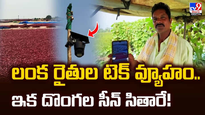 లంక రైతుల టెక్ వ్యూహం.. ఇక దొంగల సీన్ సితారే !! లంక రైతుల టెక్ వ్యూహం.. ఇక దొంగల సీన్ సితారే !!