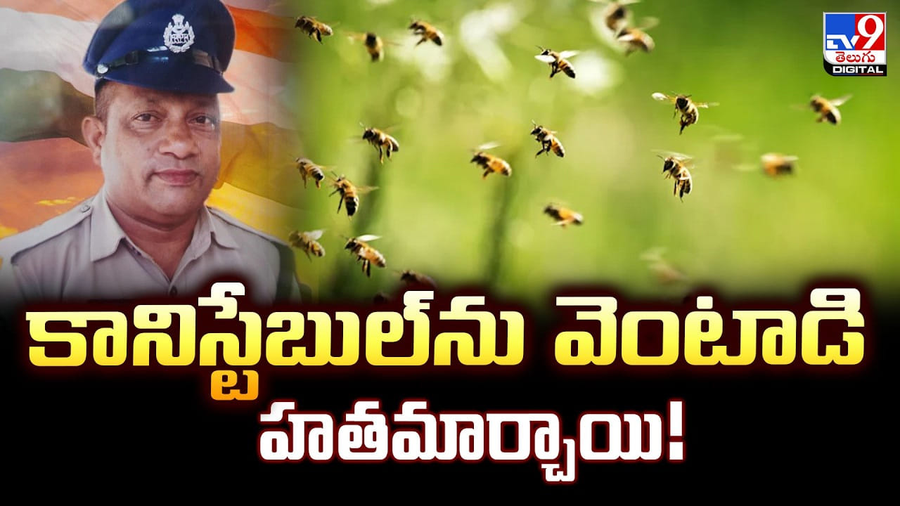 కానిస్టేబుల్ను వెంటాడి హతమార్చిన తేనెటీగలు
