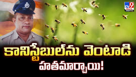 కానిస్టేబుల్‌ను వెంటాడి హతమార్చిన తేనెటీగలు