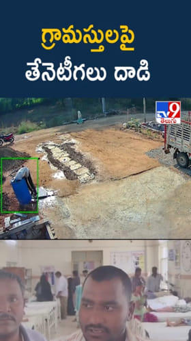 గ్రామస్తులపై తేనెటీగలు దాడి.. షాకింగ్ CCTV వీడియో