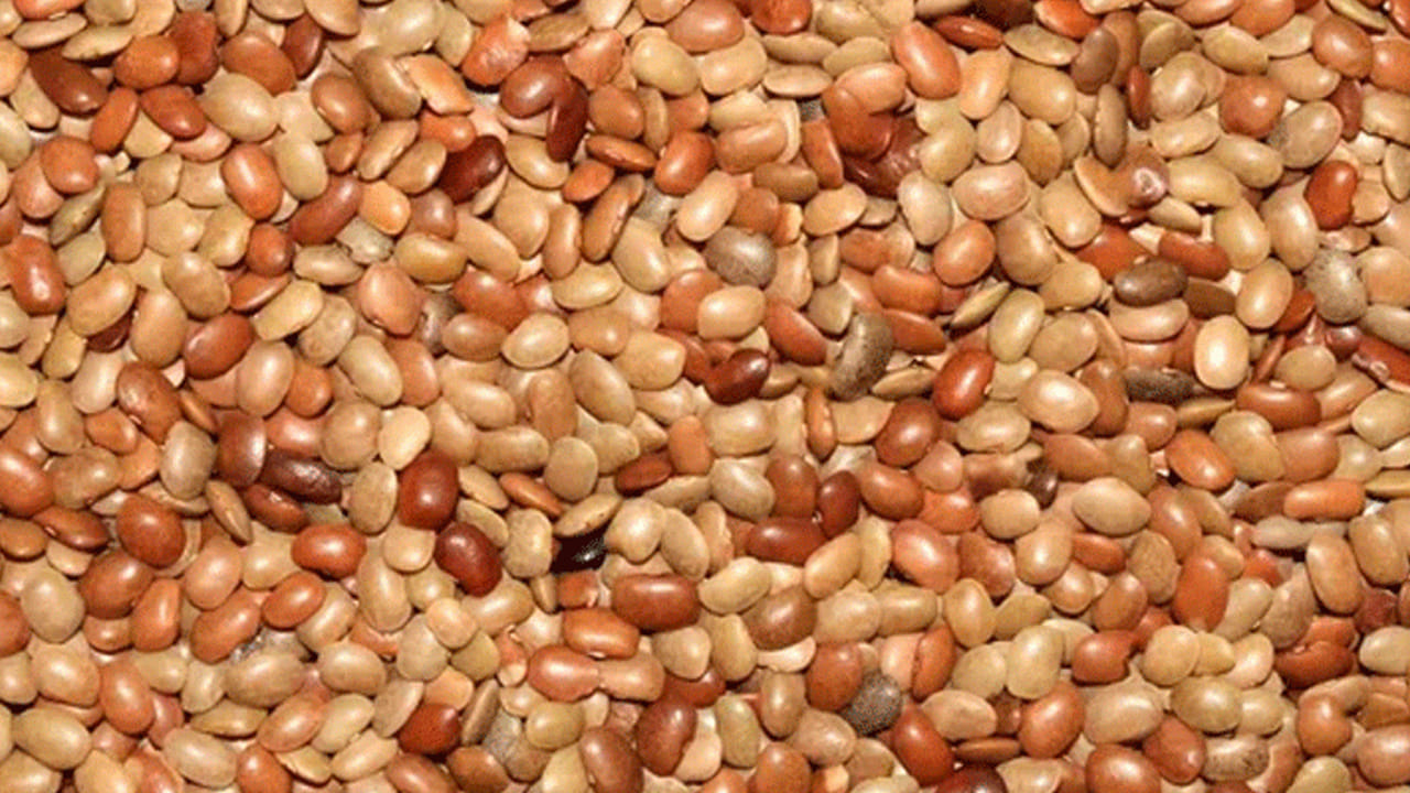 ఉలవలు అనగానే వాటిని పశువులకు దానగా పెడతారని, కొన్ని ప్రాంతాల్లో ఉలవచారు తయారు చేస్తారని మాత్రమే చాలా మంది అనుకుంటారు. కానీ వాస్తవానికి ఉలవలు పోషకాలు పుష్కలంగా ఉండే ఒక అద్భుతమైన సూపర్ఫుడ్.. ఉలవల్లో ఎన్నో పోషకాలు దాగున్నాయి.. ఉలవలు తినడం వల్ల ఒంట్లో బ్లడ్ షుగర్ లెవల్స్ తగ్గుతాయి. రక్తహీనత రక్తహీనతతో బాధపడేవారు ఐరన్ కంటెంట్ ఎక్కువగా ఉన్న ఉలవల్ని తింటే రక్తం పెరుగుతుంది.