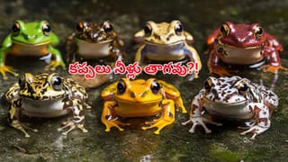 ఆఫీసుకు రావాలని బాస్ బలవంతం.. పుట్టిన గంటకే పసికందు మృతి.. కట్‌చేస్తే కంపెనీకి వందల కోట్ల జరిమానా!