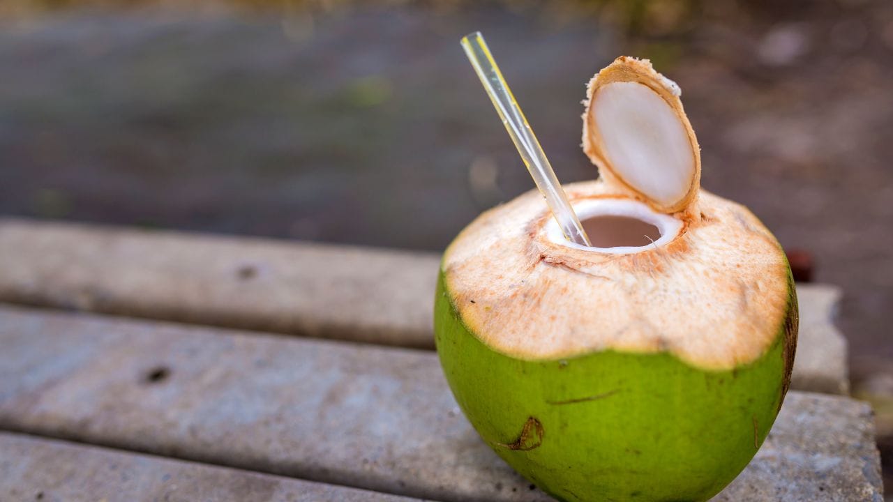 అయితే, ప్రయాణాల్లో రోడ్డు పక్కన కొబ్బరిబొండం కొనేటప్పుడు చాలామందికి ఎదురయ్యే ప్రధాన సమస్య ఏమిటంటే.. లోపల నీళ్లు తక్కువగా ఉండటం లేదా నాణ్యత లేకపోవడం. మంచి కొబ్బరిబొండాన్ని ఎలా ఎంచుకోవాలో తెలియకపోవడమే దీనికి కారణం. కాబట్టి మేం చెప్పబోయే ఈ చిట్కాలను ఫాలో అయితే మీరు ఎప్పుడూ మంచి కొబ్బరిబొండాన్ని ఎంచుకోవచ్చు.