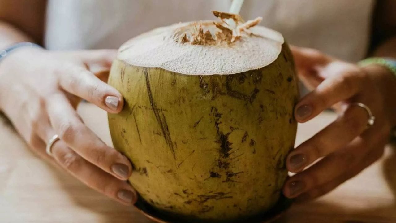 సైజు, బరువు: మీరు కొబ్బరి బోండా కొనేప్పుడు మొదట బొండం పరిమాణాన్ని, బరువును గమనించండి. పరిమాణానికి తగ్గ బరువు ఉంటేనే దాన్ని తీసుకోండి. ఒకవేళ బొండం పెద్దదిగా ఉండి బరువు తక్కువగా అనిపిస్తే, అది చెట్టునుంచి తెంచి చాలా రోజులైందని అర్థం. అలాంటి వాటిలో నీళ్లు తక్కువగా ఉంటాయి.  కాబట్టి కొనేముందు ఇవిచెక్ చేసుకోండి.