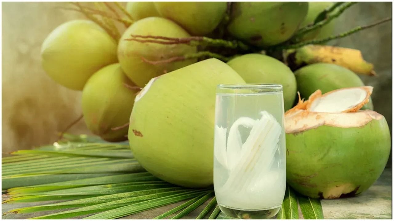 రంగు:  మీకు బాగా నీళ్లు ఉన్న కాయ కావాలి అంటే.. అది మంచి రంగును కలిగి ఉండాలి. అవును తాజా ఆకుపచ్చ రంగు కలిగి ఉన్న బొండాలు సాధారణంగా తాజాగా ఉంటాయి. మీరు వాటి పరిమాణం, బరువును బట్టి తీసుకోవడం మంచిది. ఈ పద్ధతులు పాటిస్తే, మీరు సరైన కొబ్బరిబొండాన్ని ఎంచుకుని ఈ ఎండల్లో హాయిగా దాహం తీర్చుకోవచ్చు.(Note: పైన పేర్కొన్న  అంశాలు ఇంటర్నెట్ నుంచి సేకరించిన సమాచారం ఆదారంగా మాత్రమే అందించబడింది. దీనిని TV9 దృవీకరించడం లేదు)