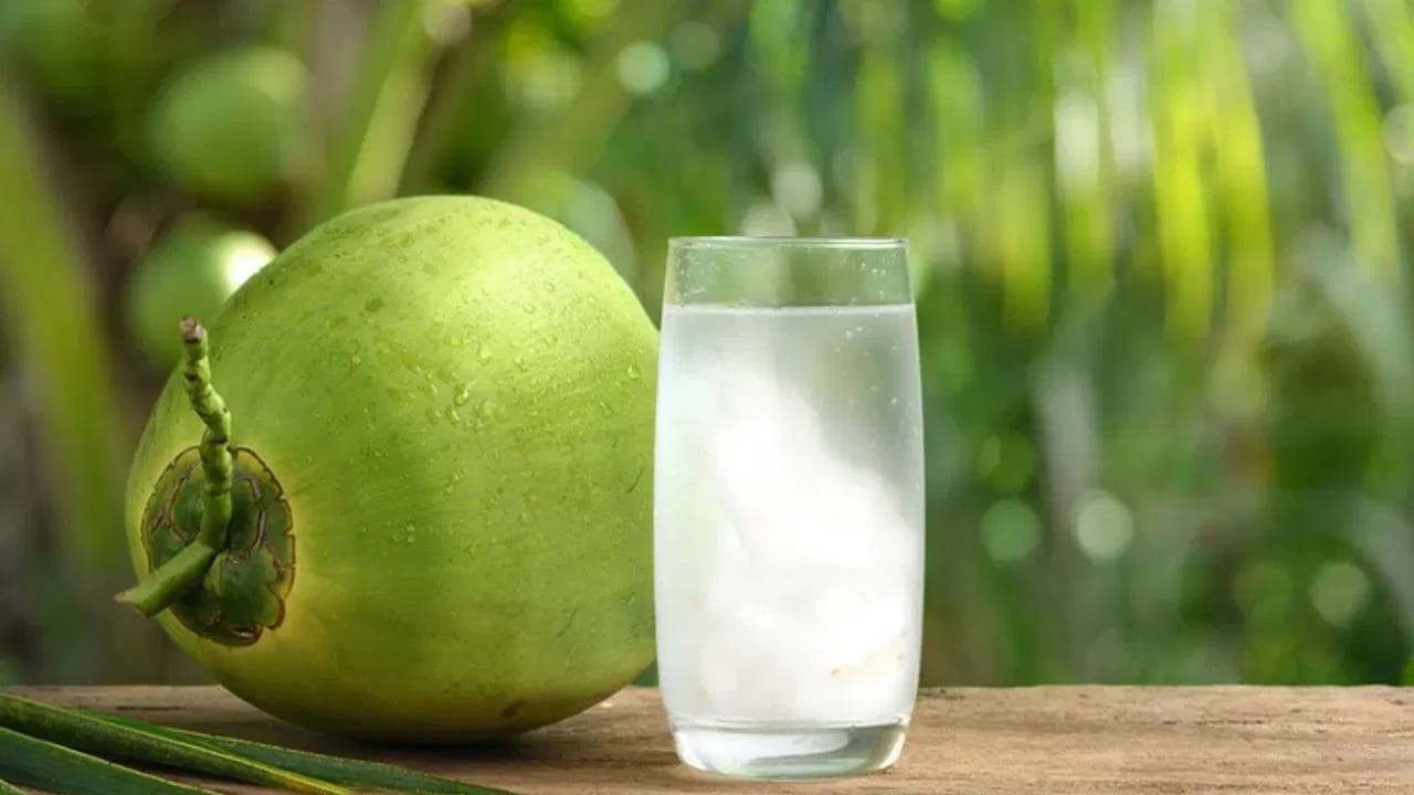 ఎండలు ముదురుతున్నాయి. ఉదయం 10 గంటల నుండే భానుడు తన ప్రతాపాన్ని చూపిస్తున్నాడు. ఈ మండుటెండల్లో శరీరాన్ని చల్లబరిచేందుకు, తక్షణ శక్తినిచ్చేందుకు కొబ్బరి నీళ్లకు మించిన ప్రత్యామ్నాయం లేదు. అందుకే వేసవిలో వీటికి డిమాండ్ విపరీతంగా పెరుగుతుంది. అయితే, కొన్నిసార్లు మనం ఎక్కువ ధర చెల్లించి కొన్నా, బొండంలో నీరు తక్కువగా వచ్చి నిరాశ కలిగిస్తుంది. అయితే కొన్ని టిప్స్ ఫాలో అయితే ఎక్కువ నీరు ఉన్న బోండాన్ని తీసుకోవచ్చు.

