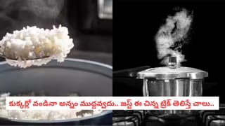 Mosquito Bites: దోమ కరిచిన చోట దద్దుర్లు, దురద వస్తున్నాయా?. దీని వెనుక అసలు సీక్రెట్ ఇదే