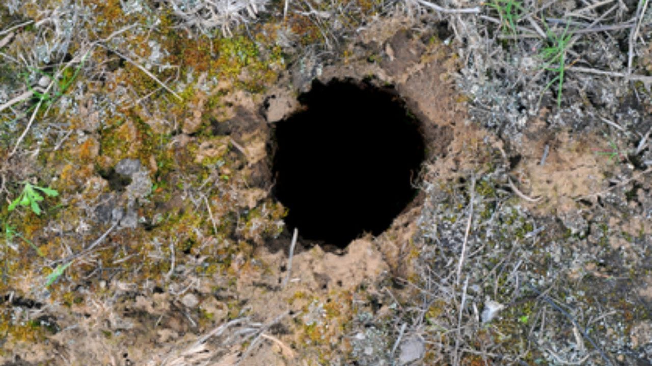 అయితే ఇక్కడ జనాలకు వచ్చే కన్ఫ్యూజన్ ఏంటంటే.. చూడ్డానికి ఎలుకలు, పాములు చేసే రంద్రాలు ఒకేలా ఉంటాయి. కాబట్టి దేనిలో పాములు ఉన్నాయో, దేనిలో ఎలుకలు ఉన్నాయో తెలుసుకోవడం చాలా కష్టంగా ఉంటుంది. కానీ ఈ రెండింటిలో ఉండే చిన్న తేడాల ద్వారా మీరు పాము రంద్రాన్ని  వేరుగా గుర్తించవచ్చు. 