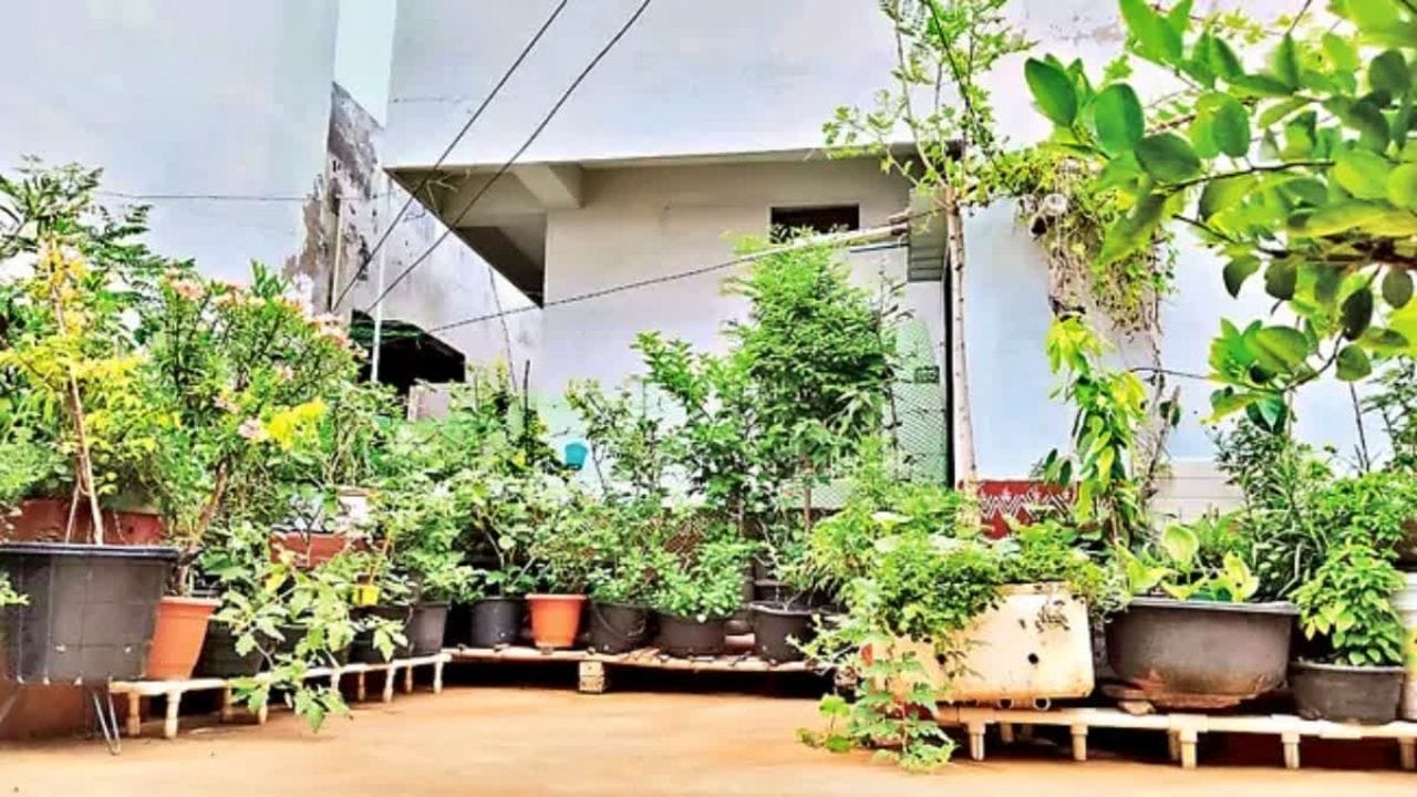 ఈ మధ్య కాలంలో ఇంటి ముందు, లేదా వెనకాల గార్డెన్స్ పెంచుకోవడం చాలా మందికి అలవాటుగా మారింది. అయితే పాములు, ఎలుకలు, పందికొక్కులు వంటివి బయట వేడిని తట్టుకోలేకి ఇలా ఇళ్లలో ఉండే గార్డెన్‌లను ఆవాసాలుగా మార్చుకునే అవకాశం ఉంది. కాబట్టి మీ ఇంటి పెరట్లో ఏవైనా రంధ్రాలు కనిపిస్తే జాగ్రత్తగా ఉండాలి. 