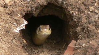 Coconut Oil: రాత్రి నిద్రకు ముందు ముఖానికి కొబ్బరి నూనె అప్లై చేస్తే.. ఏం జరుగుతుందో తెలుసా?
