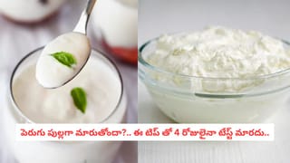 Gas Cylinder Hacks: సిలిండర్ ఎప్పుడు ఖాళీ అవుతుందో తెలియడంలేదా?.. ఈ వన్ మినిట్ ట్రిక్ తో కనిపెట్టేయండి