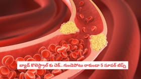 బ్యాడ్ కొలెస్ట్రాల్ కు చెక్.. గుండెపోటు రాకుండా 5 సూపర్ టిప్స్