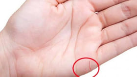 మీ అరచేతిలో ఈ గీత ఉందా.. పెళ్లి ఎప్పుడు.. లైఫ్ పార్ట్‌నర్ ఎలా..