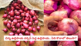 చిన్న ఉల్లిపాయ వర్సెస్ పెద్ద ఉల్లిపాయ.. ఏది కొనాలో తెలుసా?