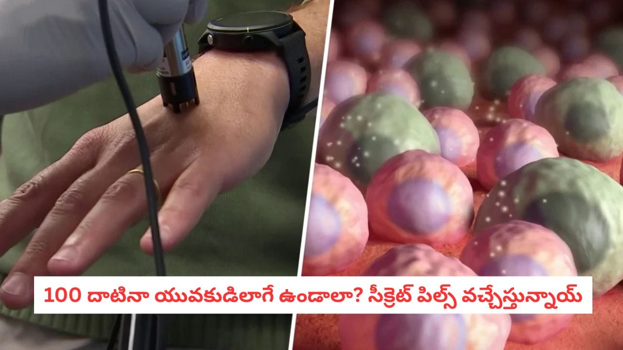 Zombie Cells: చావుకు ఇక చెక్ పెట్టినట్లేనా?.. 150 ఏళ్లు జీవించేలా చేసే ‘అద్భుత మాత్ర’ వచ్చేస్తోంది!