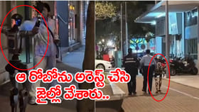 రోడ్డుపై వృద్ధురాలిని భయపెట్టిన రోబోను అరెస్ట్ చేసిన పోలీసులు..!