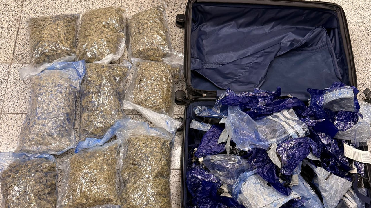 ఎయిర్పోర్ట్లో ప్రయాణికుడి సూట్కేస్ ఓపెన్ చేయగా షాక్..