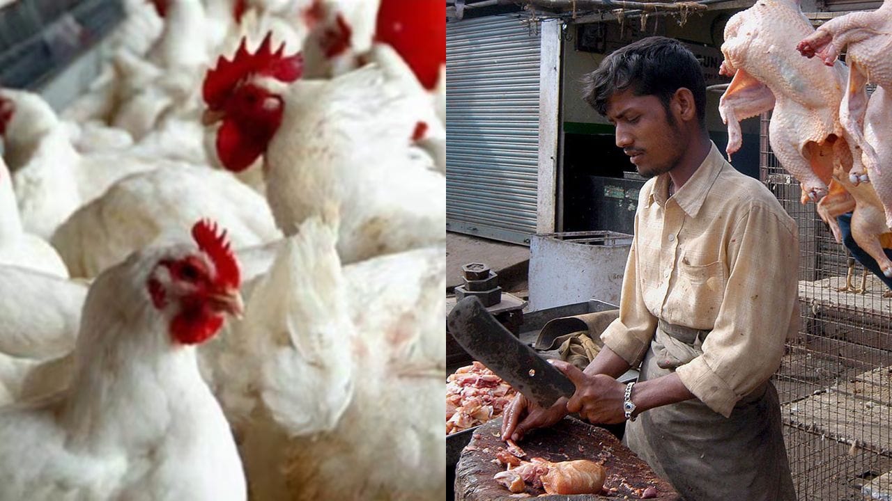 Chicken Shops: నాన్‌వెజ్ ప్రియులకు బ్యాడ్‌ న్యూస్.. ఆ రోజు నుంచి చికెన్ షాప్‌లు బంద్!