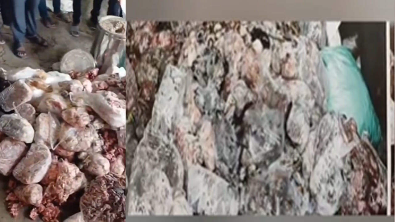 హైదరాబాద్‌లో కల్తీ మాంసం రాకెట్ పై టాస్క్‌ఫోర్స్ దాడి..వెలుగులోకి షాకింగ్‌ నిజాలు! చూశారంటే