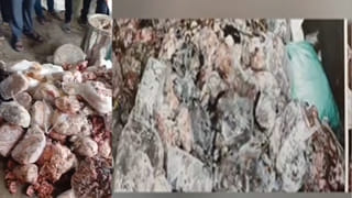 Summer Gardening: వేసవిలో మీ మొక్కలు వాడిపోతున్నాయా?..ఈ ఒక్కటి పెంచితే చాలు.. మీ ఇల్లు పూలవనమే..!