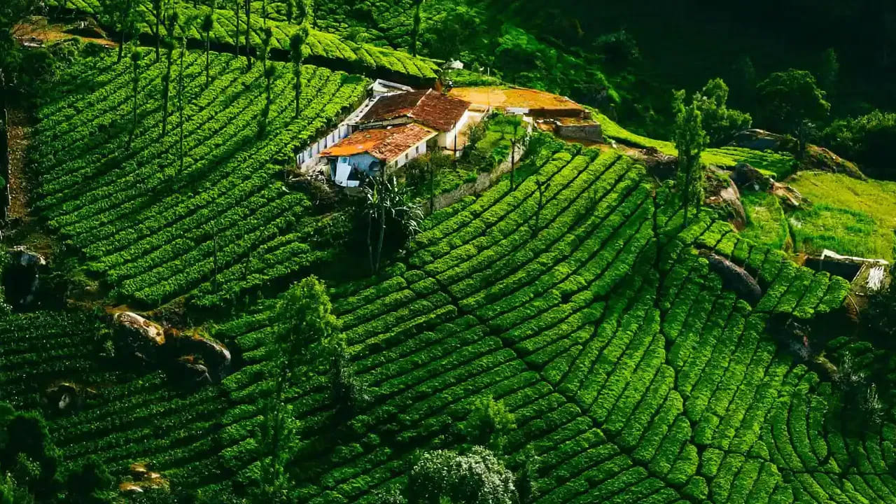 ఈ ట్రిప్ కోసం ఐఆర్‌సీటీసీ రెండు రకాల విభాగాలను అందుబాటులోకి తెచ్చింది. కంఫర్ట్ (3 టైర్ ఏసీ), స్టాండర్డ్‌లో ప్రయాణికులు తమ బడ్జెట్‌ను బట్టి టికెట్లు బుక్ చేసుకోవచ్చు. మార్చి 24 వరకు తక్కువ ధరలు అందుబాటులో ఉండగా వేసవి రద్దీ దృష్ట్యా మార్చి 31 నుండి జూన్ 23 వరకు ధరలు పెరగనున్నాయి. పెరిగిన ధరల ప్రకారం.. కంఫర్ట్ విభాగంలో ఇద్దరు కలిసి షేర్ చేసుకుంటే ఒక్కొక్కరికి రూ. 18,890 కాగా, స్టాండర్డ్ విభాగంలో ఇద్దరికి రూ. 16,360 చొప్పున ఛార్జీలు వర్తిస్తాయి. ఐదేళ్ల పైబడిన పిల్లలకు కూడా ప్రత్యేక ధరలు నిర్ణయించారు.
