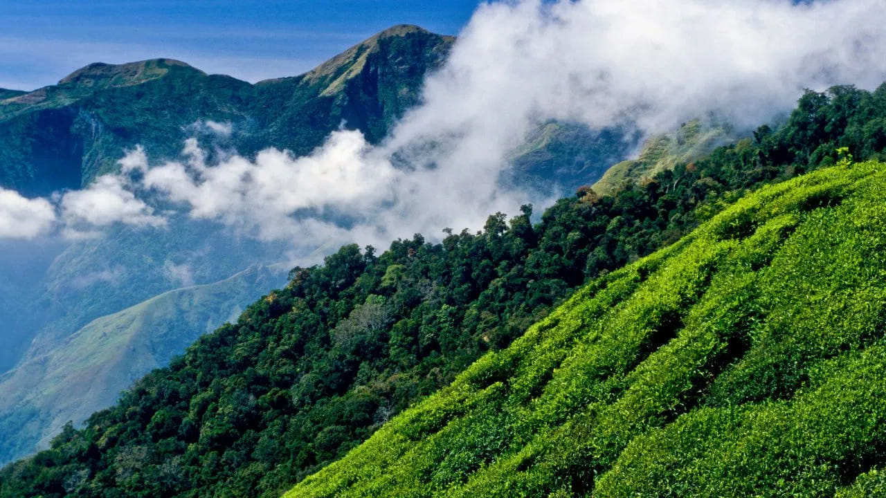 ఈ ప్యాకేజీ తీసుకున్న వారికి రైలు టికెట్లు, మూడు రోజుల పాటు హోటల్ వసతి, స్థానికంగా సందర్శనీయ ప్రాంతాలకు వెళ్లడానికి ఏసీ వాహన సౌకర్యం కల్పిస్తారు. అయితే మధ్యాహ్నం, రాత్రి భోజనం, విహార కేంద్రాల వద్ద ఎంట్రీ టికెట్లు, బోటింగ్ వంటి వ్యక్తిగత ఖర్చులను పర్యాటకులే భరించాల్సి ఉంటుంది. ప్రయాణానికి నాలుగు రోజుల ముందు మాత్రమే ఫైనల్ టికెట్లు జారీ చేస్తారు. 
