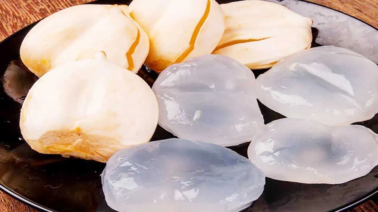  గర్భధారణ సమయంలో కొందరు మహిళలు జీర్ణ సమస్యను ఎదుర్కొంటారు. అలాంటి వారికి ఈ తాటి ముంజలు చాలా ప్రయోజనకరంగా ఉంటాయి. ఎందుకంటే ఇది జీర్ణవ్యవస్థ చురుకుగా మార్చడంతో పాటు మలబద్ధకం, ఎసిడిటీ వంటి ఆరోగ్య సమస్యల నుండి కూడా ఇది ఉపశమనం కలిగిస్తుంది. 