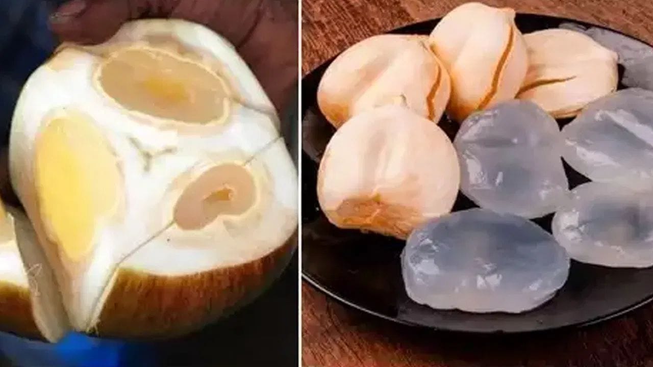 వేసవిలో అధిక ఎండ కారణంగా జనాలు త్వరగా అలసిపోతారు. అలాగే ఎండవల్ల చెమట కూడా విపరీతంగా వస్తుంది. దీని వల్ల శరీరంలోని నీటి శాతం తగ్గిపోతుంది. ఈ క్రమంలో, శరీరం కోల్పోయిన నీటిని తిరిగి అందించడానికి, అలసట నుండి ఉపశమనం పొందడానికి తాటి ముంజలు ఎంతగానో ఉపయోగపడుతాయి. ( Note: పైన పేర్కొన్న అంశాలు ఇంటర్నెట్, నివేదికల నుంచి సేకరించిన సమాచారం ఆదారంగా అందించబడినవది. వీటిని TV9 దృవీకరించడం లేదు. వీటిపై మీకేవైనా సందేహాలు ఉంటే నిపుణులను సంప్రదించండి.)