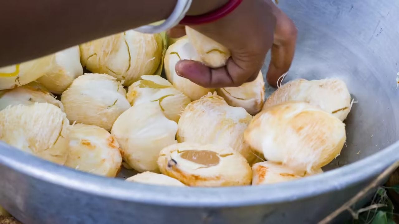 వేసవిలో లభించే అత్యంత ముఖ్యమైన పండ్లలో తాటి ముంజలు కూడా ఒకటి. ఇవి జెల్లీ లాంటి ఆకృతిని కలిగి ఉండి, చేతిలో పట్టుకున్నప్పుడు జారిపోయేంత మెత్తగా ఉంటాయి. ఇవి రుచికి తియ్యగా ఉండి, నోటిలో వేసుకోగానే కరిగిపోతాయి. వేసవిలో శరీరానికి హైడ్రెట్‌గా ఉంచే ఈ పండును 'ఐస్ ఆపిల్' అని కూడా పిలుస్తారు. వేసవిలో విరివిగా లభించే ఈ పళ్లు శరీరాన్ని చల్లబరచడమే కాకుండా ఆరోగ్యానికి కూడా అనేక విధాలుగా మేలు చేస్తాయి.