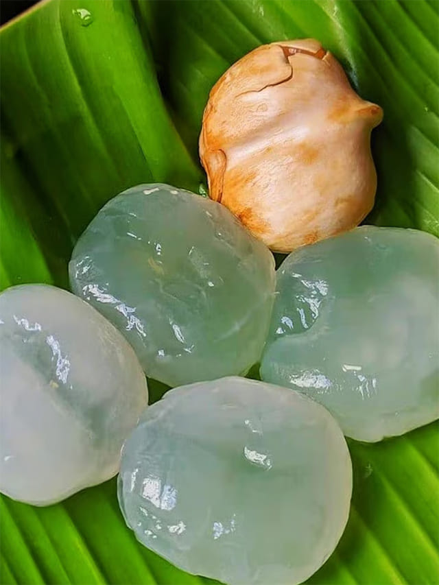 నోరూరించే.. లేత తాటి ముంజ‌లు తినేద్దామా!