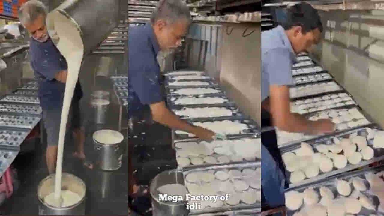 Idli Factory: రోజుకు 25 వేలు ఇడ్లీలు తయారు చేసే ఫ్యాక్టరీ.. ఒక రోజు సంపాదన ఎంతో తెల్సా