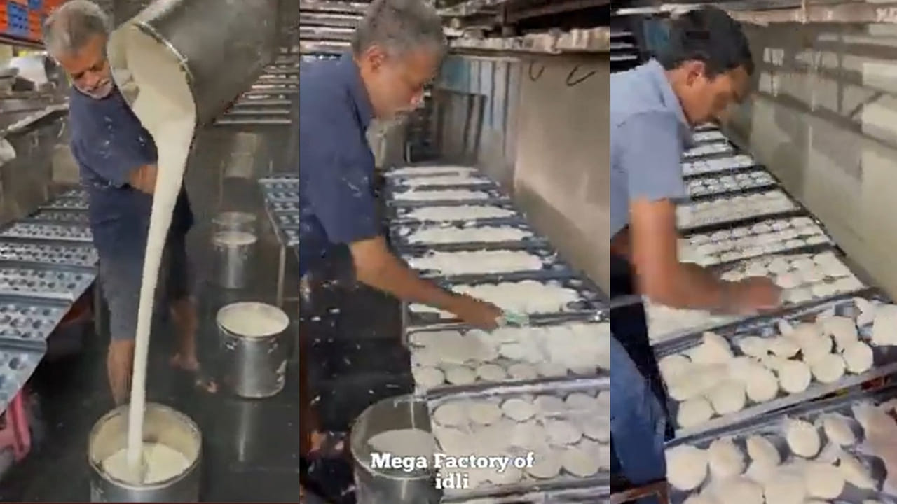 Idli Factory: రోజుకు 25 వేలు ఇడ్లీలు తయారు చేసే ఫ్యాక్టరీ.. ఒక రోజు సంపాదన ఎంతో తెల్సా